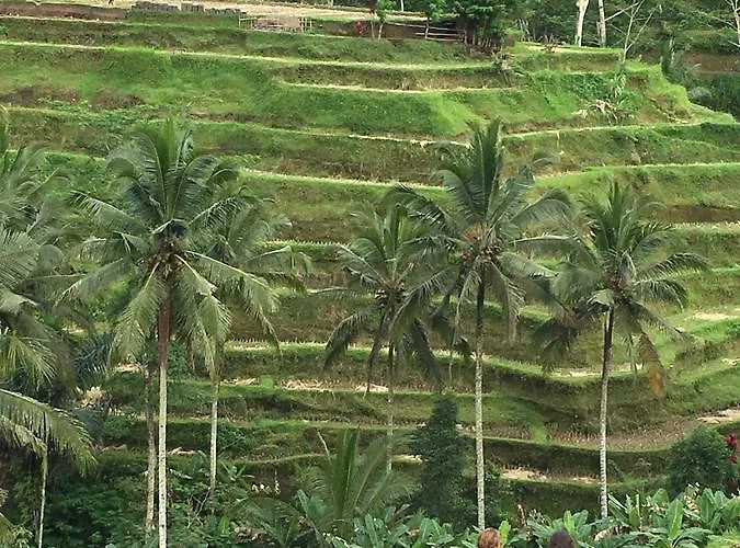 Nadialit * Seminyak